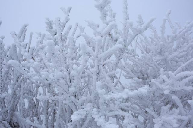 雪景色