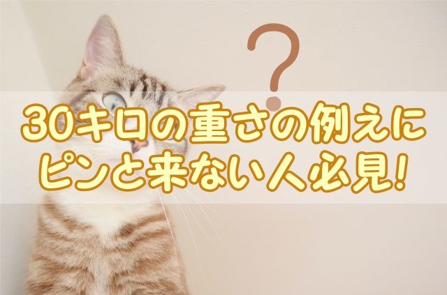 30キロの重さの例えにピンと来ない人必見！
