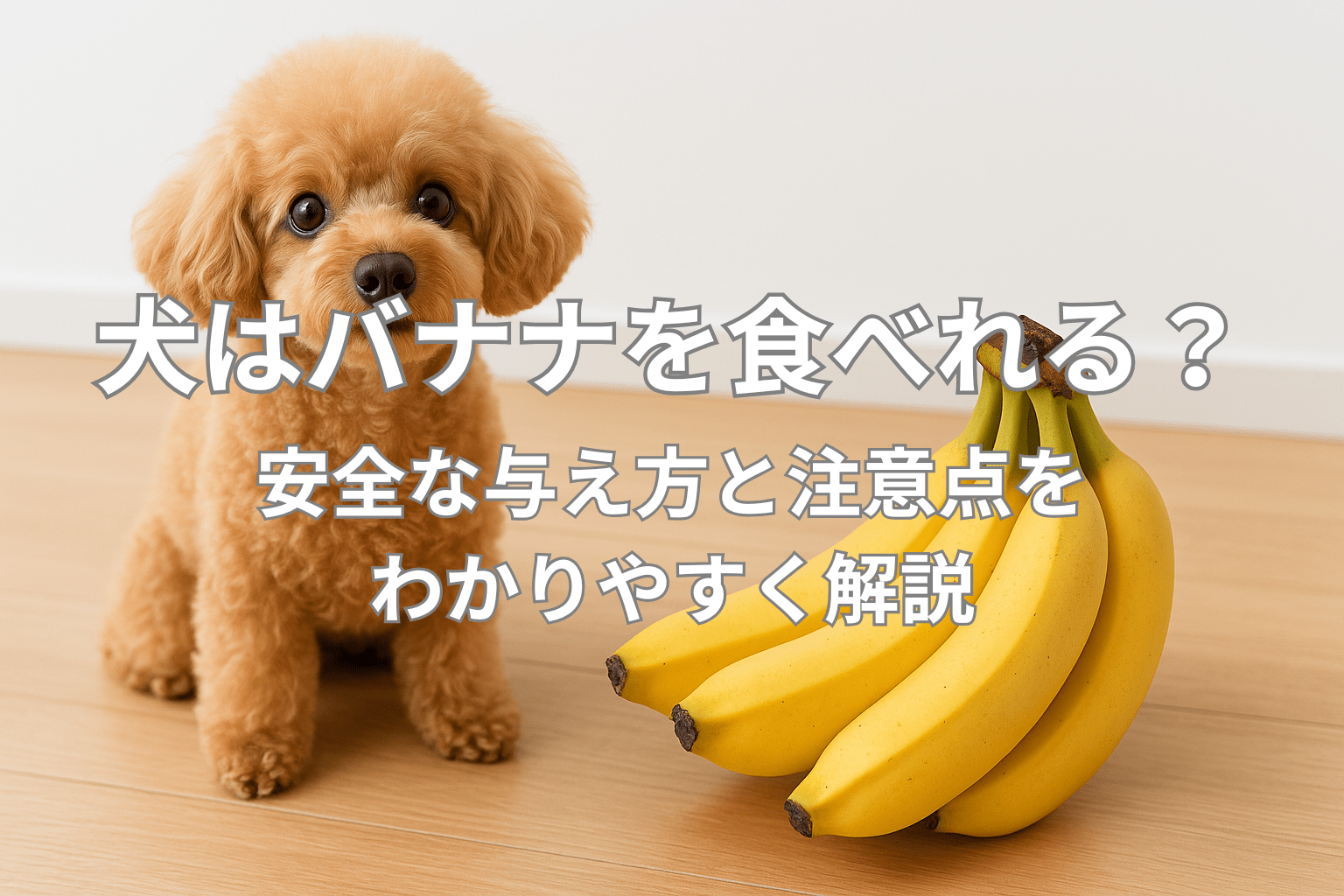 犬はバナナを食べれる？安全な与え方と注意点をわかりやすく解説