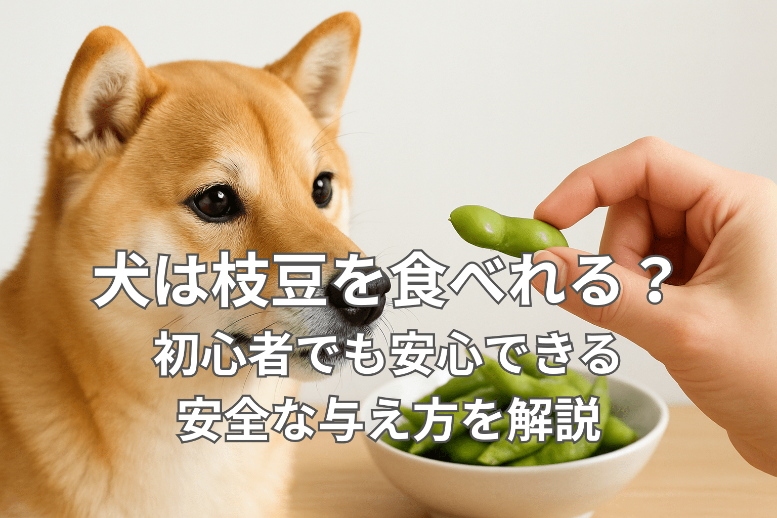犬は枝豆を食べれる？初心者でも安心できる安全な与え方を解説