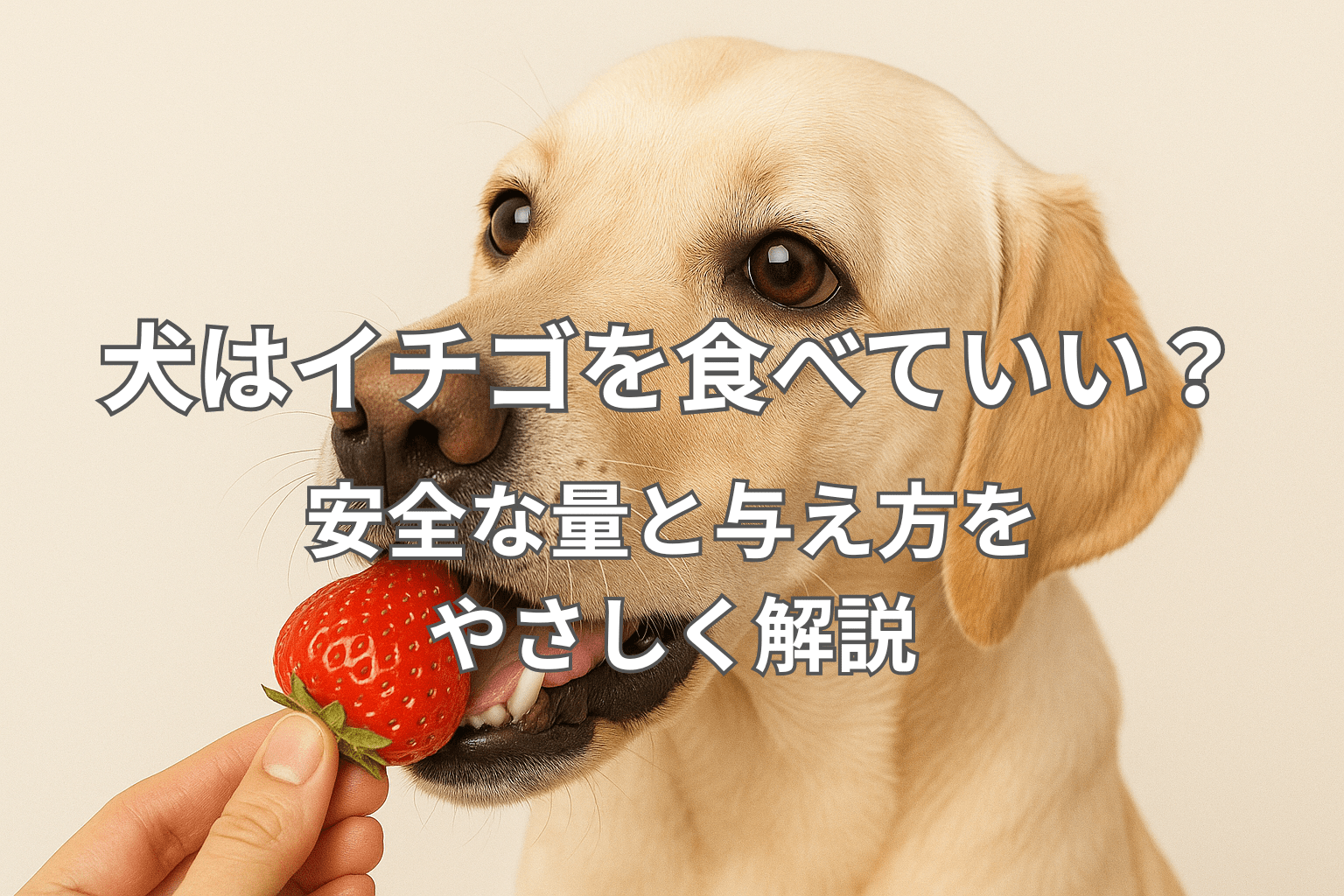 犬はイチゴを食べていい？安全な量と与え方をやさしく解説