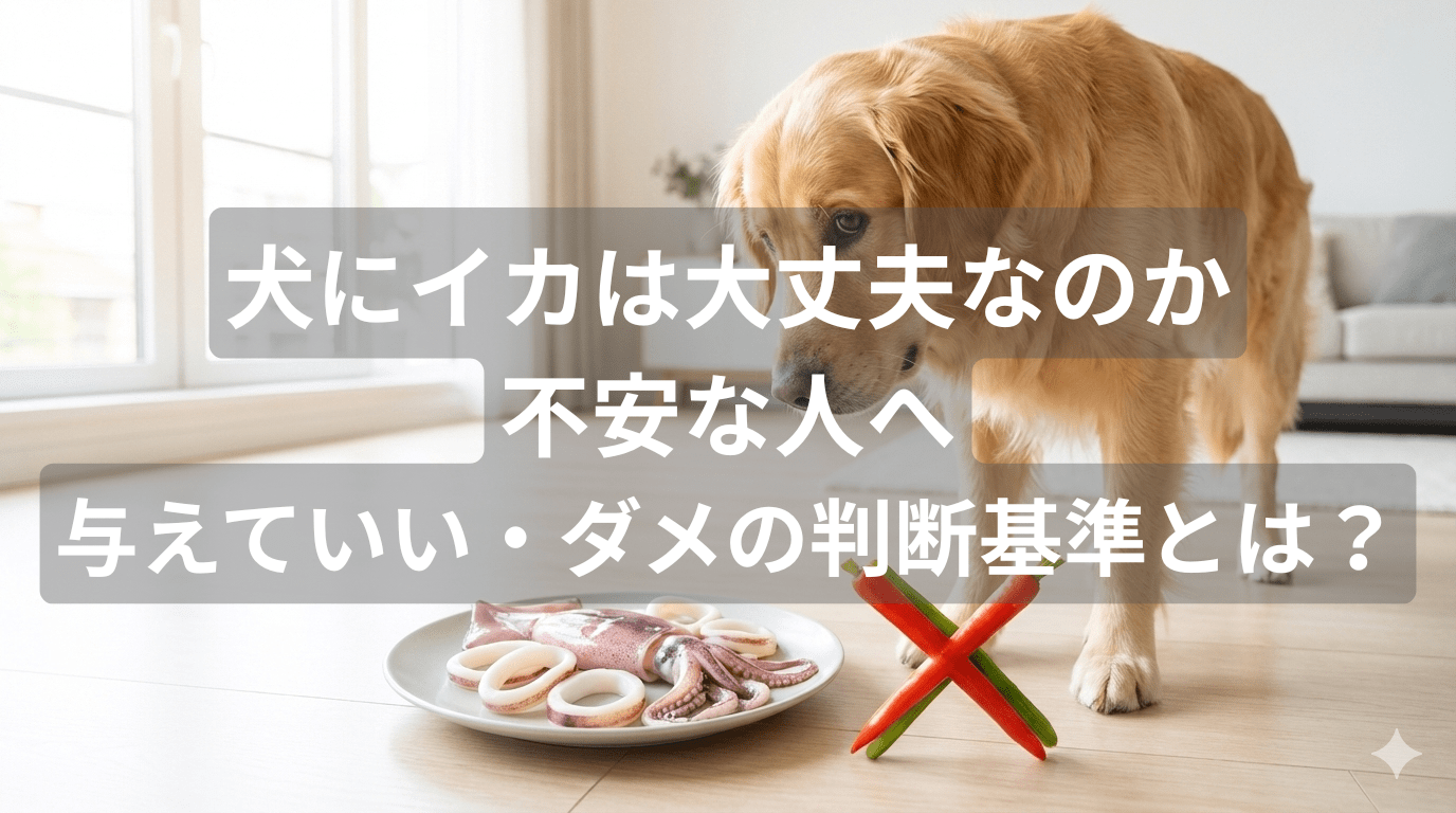 犬にイカは大丈夫なのか不安な人へ｜与えていい・ダメの判断基準とは？